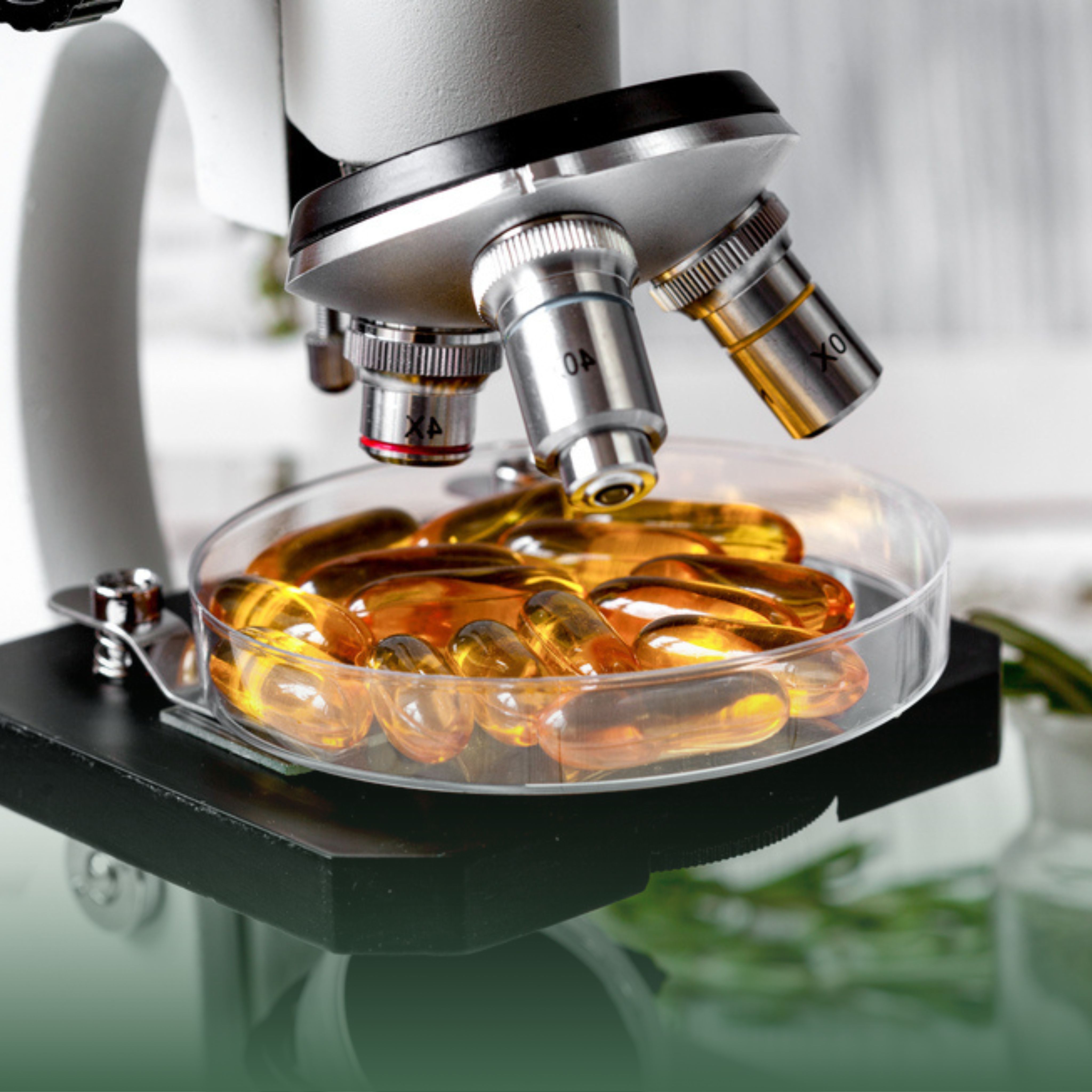 Suplementos naturais